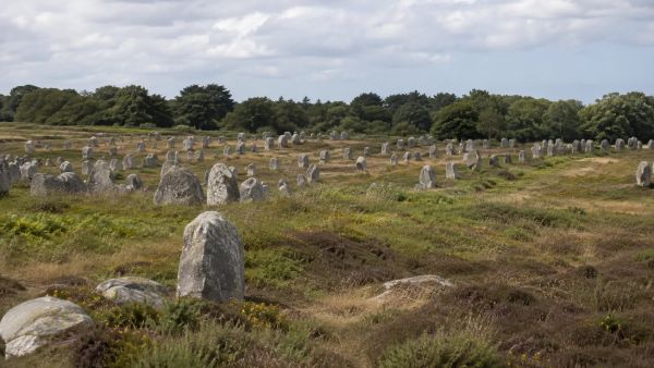 Comprendre les menhirs et landes de Carnac